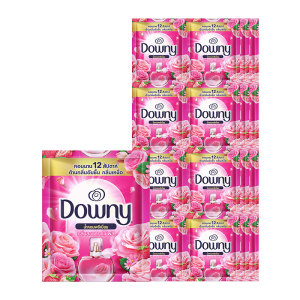 ดาวน์นี่ น้ำยาปรับผ้านุ่ม กลิ่นสวนดอกไม้ผลิการ์เด้นบลูม 20 มล. x 24  
Downy Concentrated Softener Garden Bloom