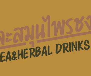 [ยกลัง 18 ห่อ] เพรียว คลอโรฟิลล์ชนิดผง จำนวน 18 ถุง
PREAW CHLOROPHYLL