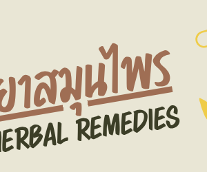BOW DAENG ยาดมสมุนไพร สีแดง  5 g x 6  
BOW DAENG Herbal Inhaler Red